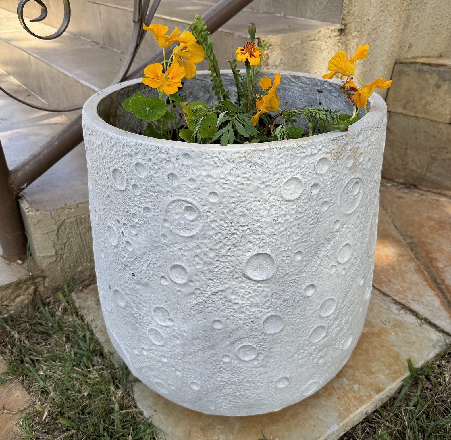 Malkia pot planter. image