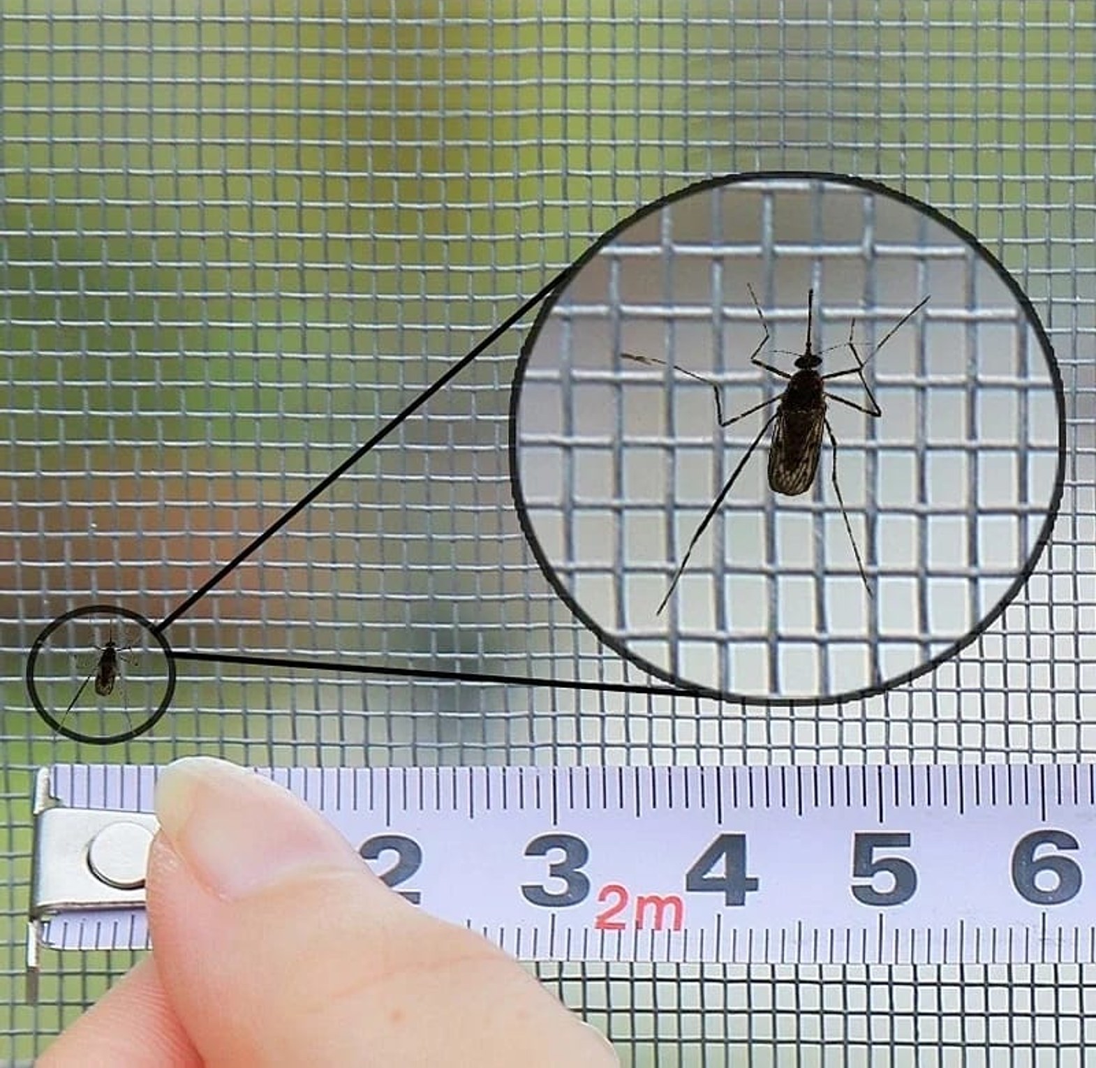 Anti-Mosquito Window Protector image