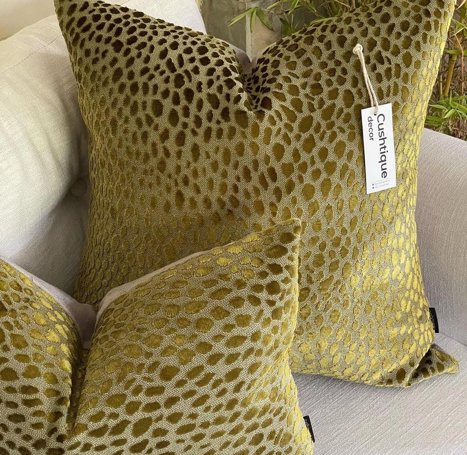 OLIVE GREEN -PEBBLE CUSHION image