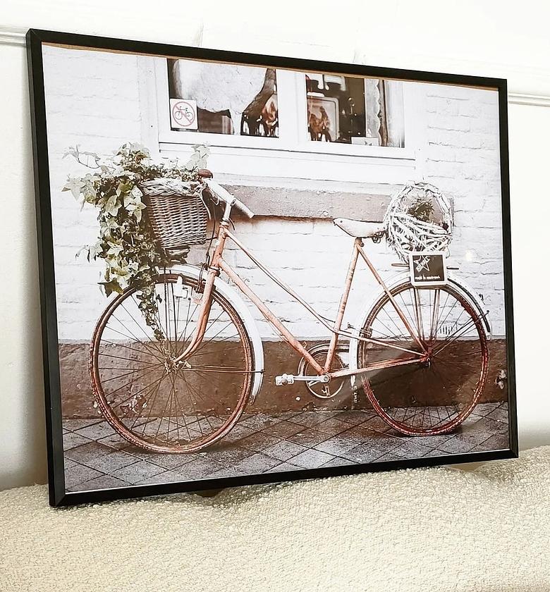 Bike frame  image