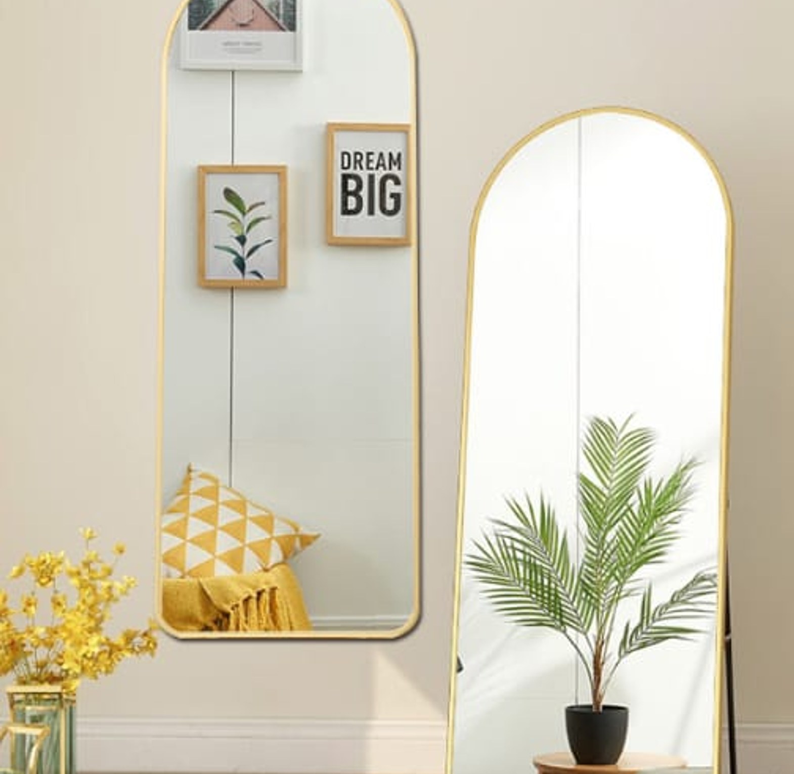 Full body mirror image