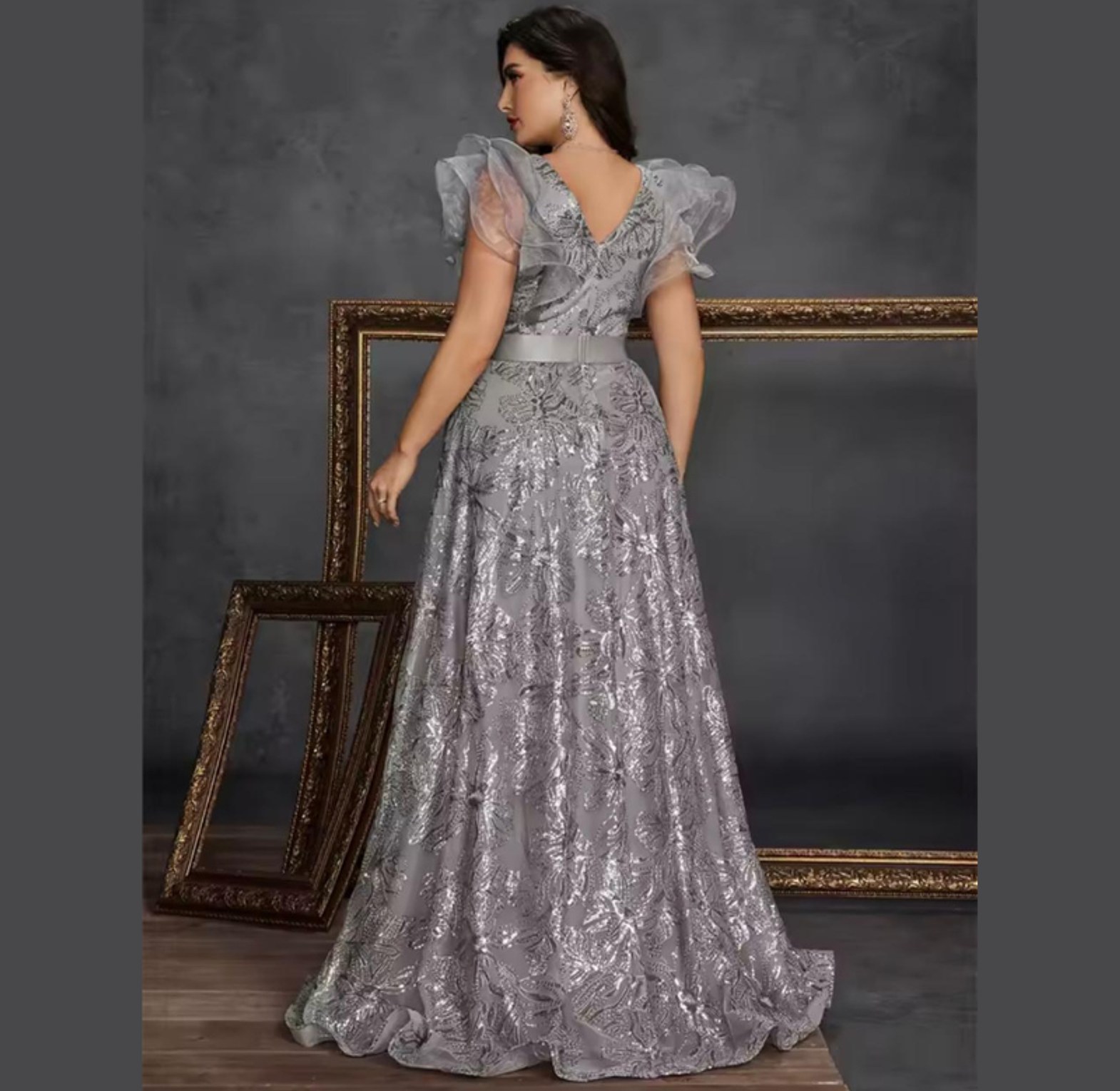 Fairy Wing Embroidered A-Line Gown image