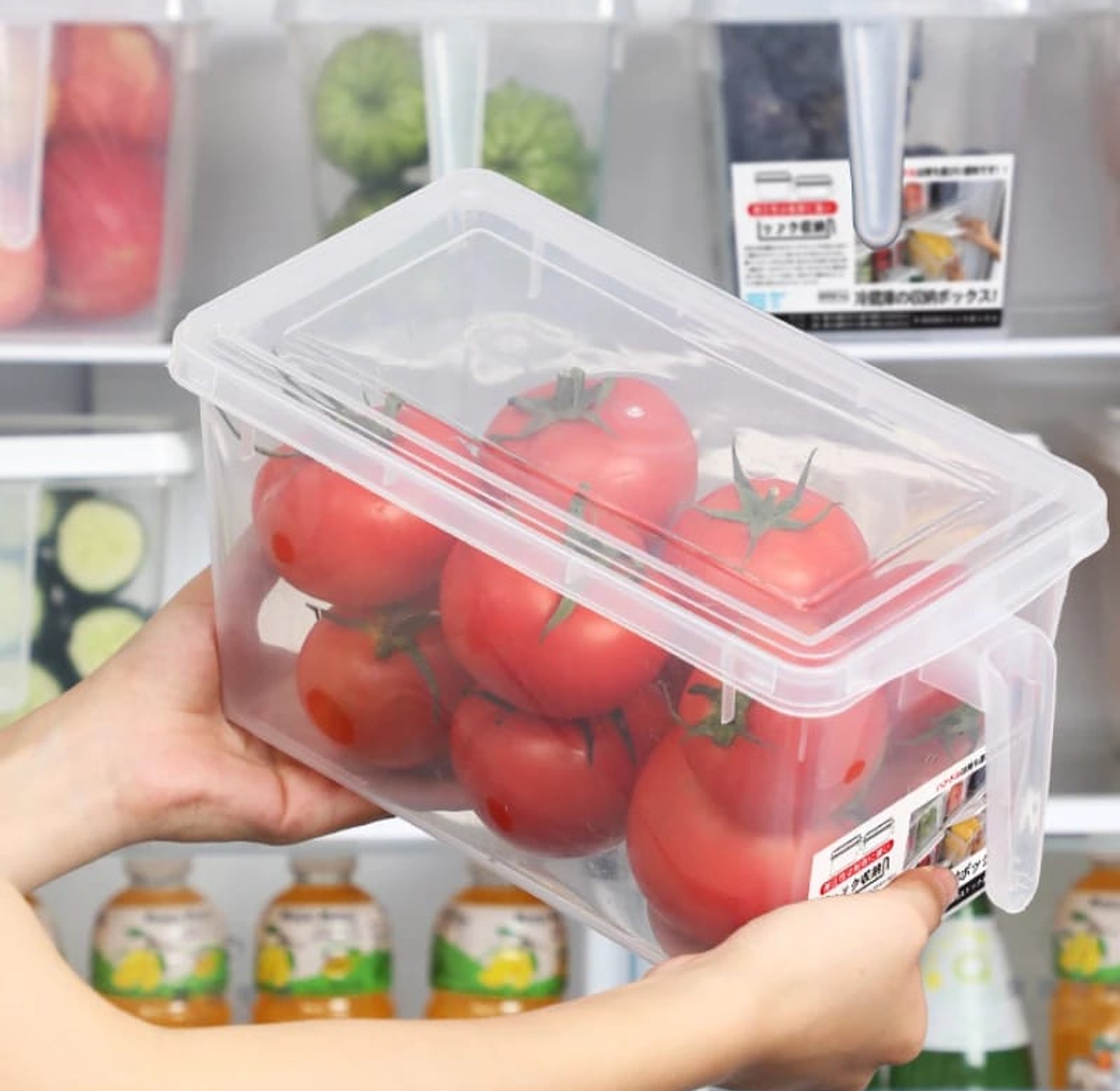 Vegetable Eggs Meat Storage Box  image