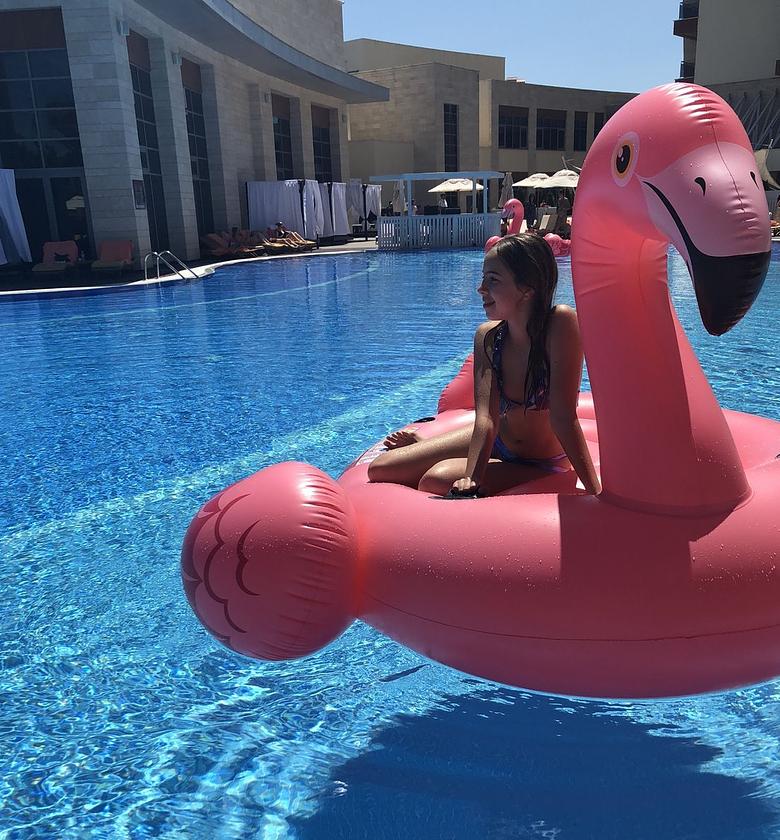Flamingo pool image