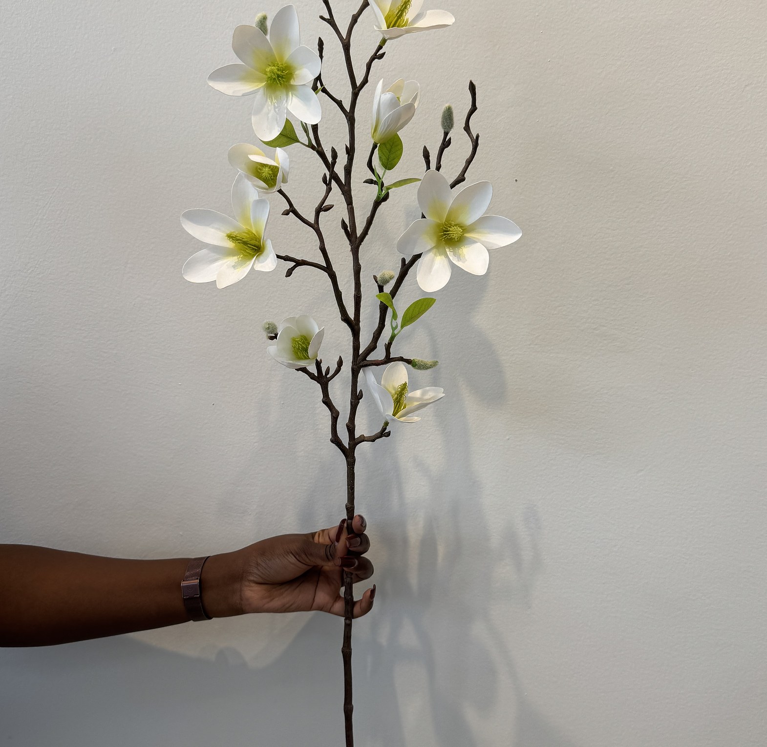Faux blooming magnolia branches. image