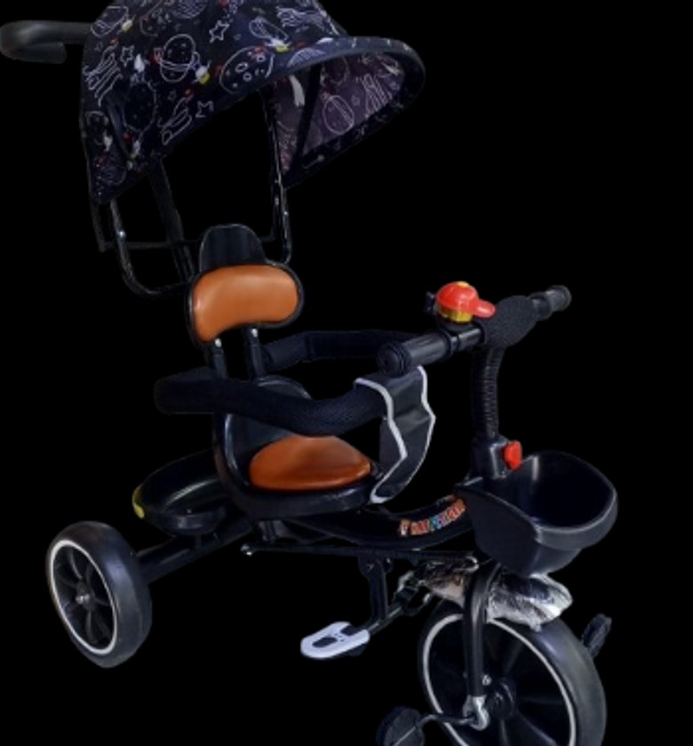 Children's Tricycle with Canopy and Push Handle For Age Between  18 months to 5 years image
