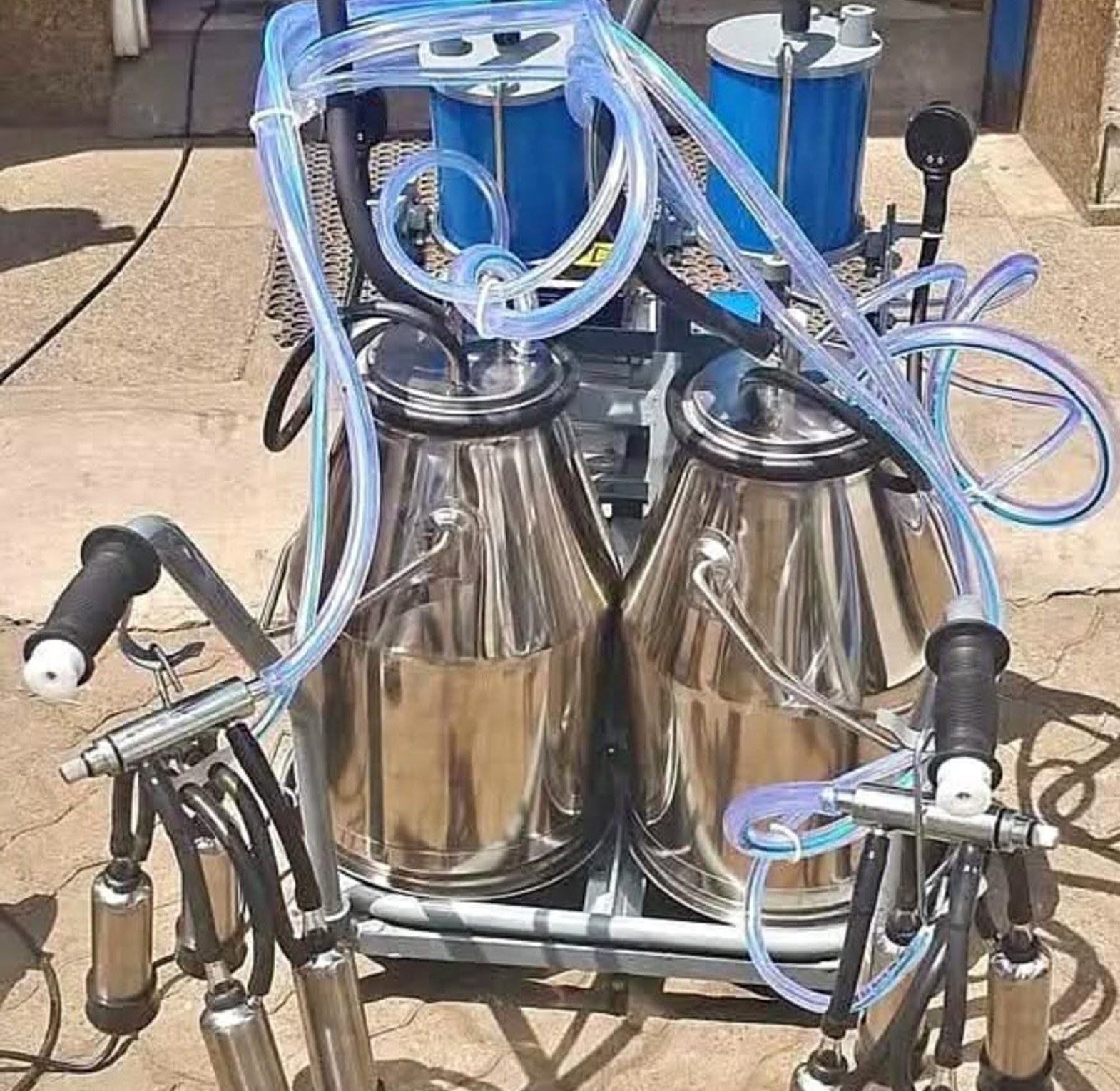Double barrel milking machine image