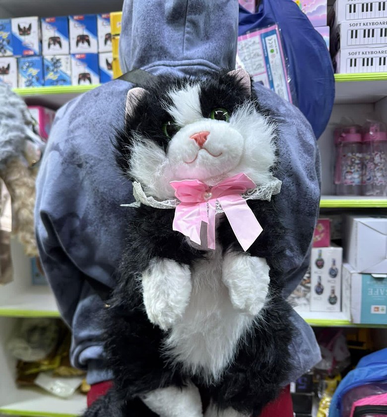  Cat Bag. Cat Shaped Backpack. image