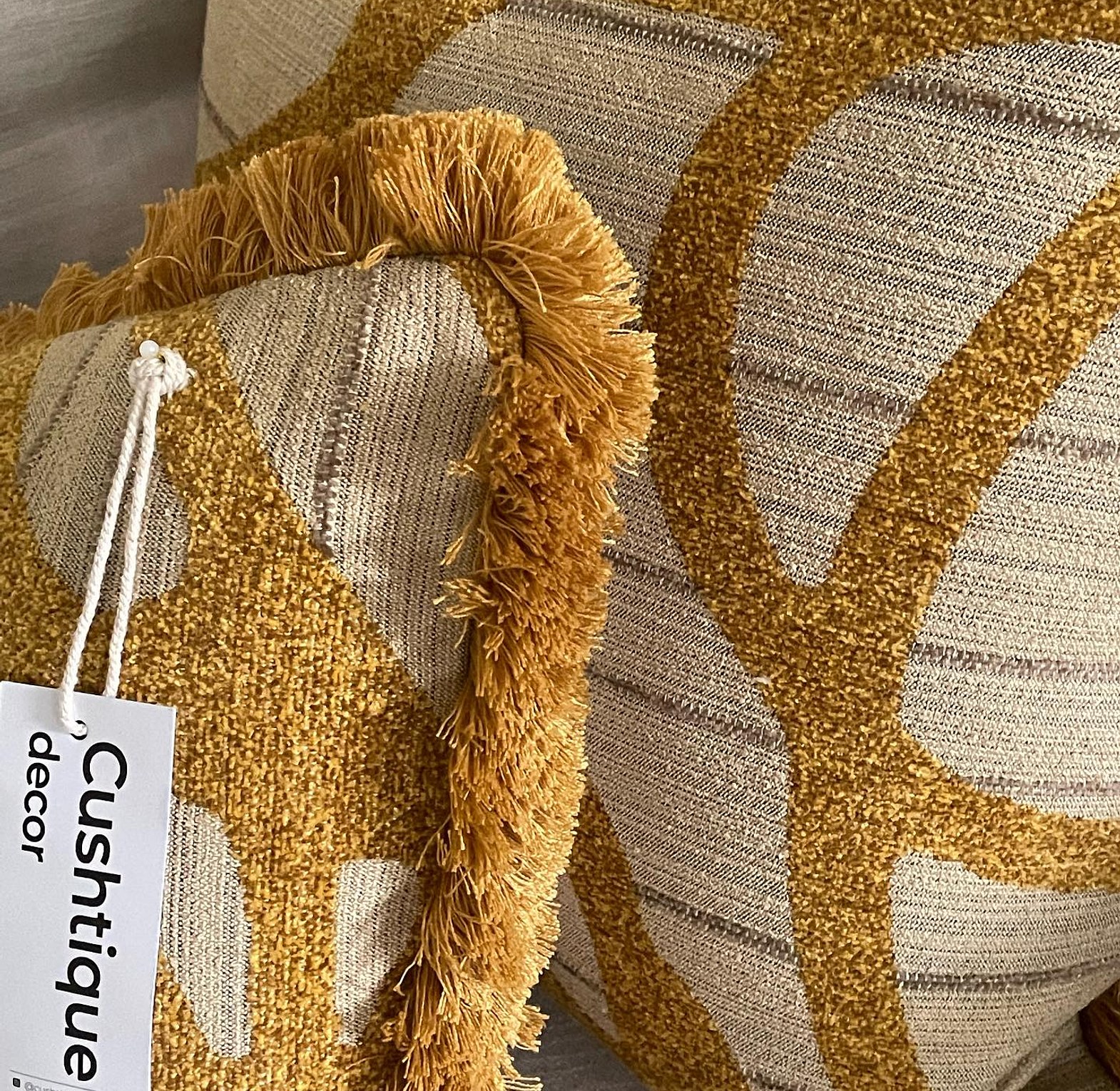 Vine Cushion paired with brushed fringe trim image