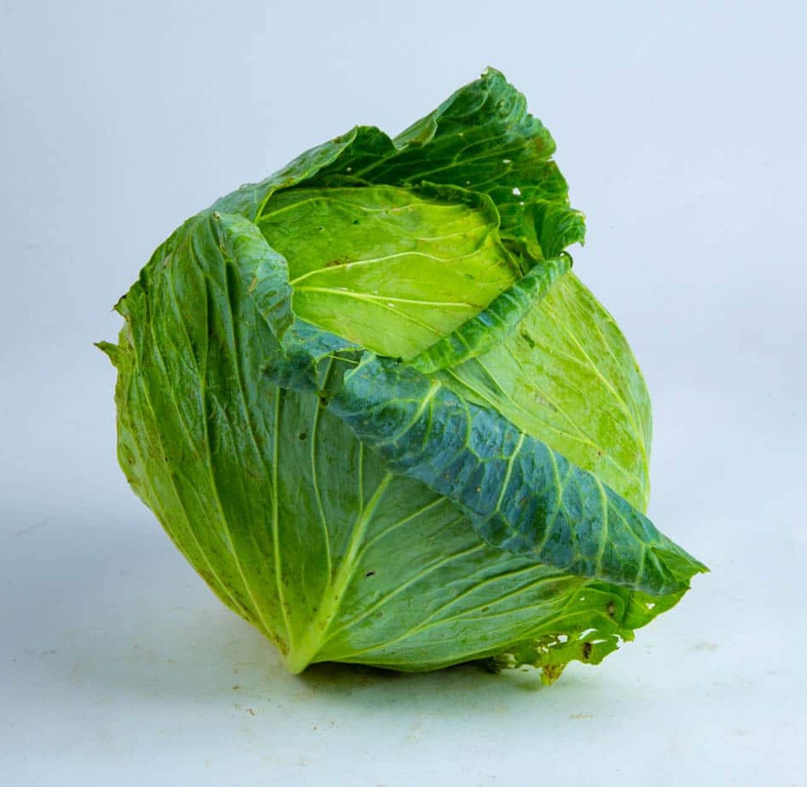 Fresh Green Cabbage – Whole Piece image