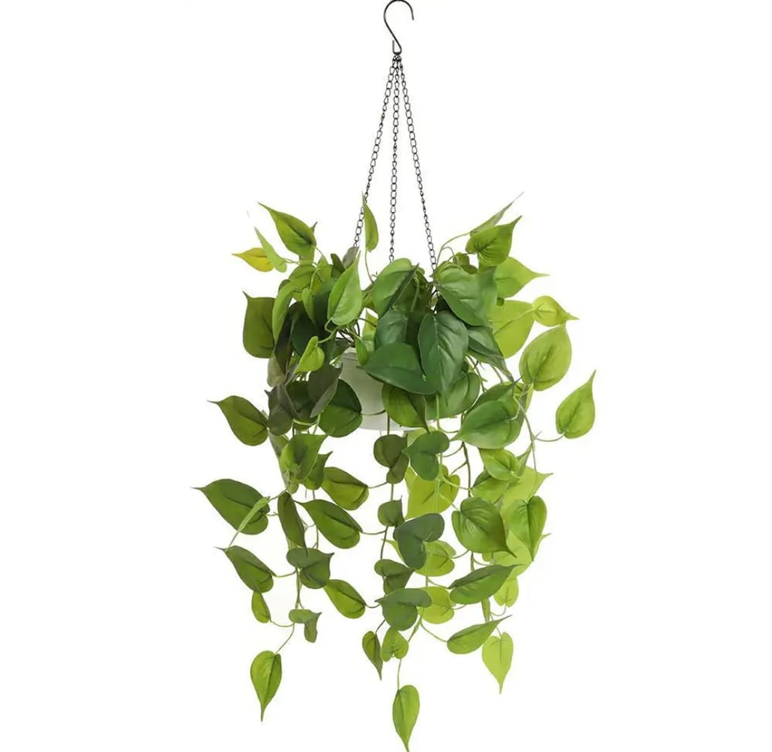 Artificial hanging plant  image