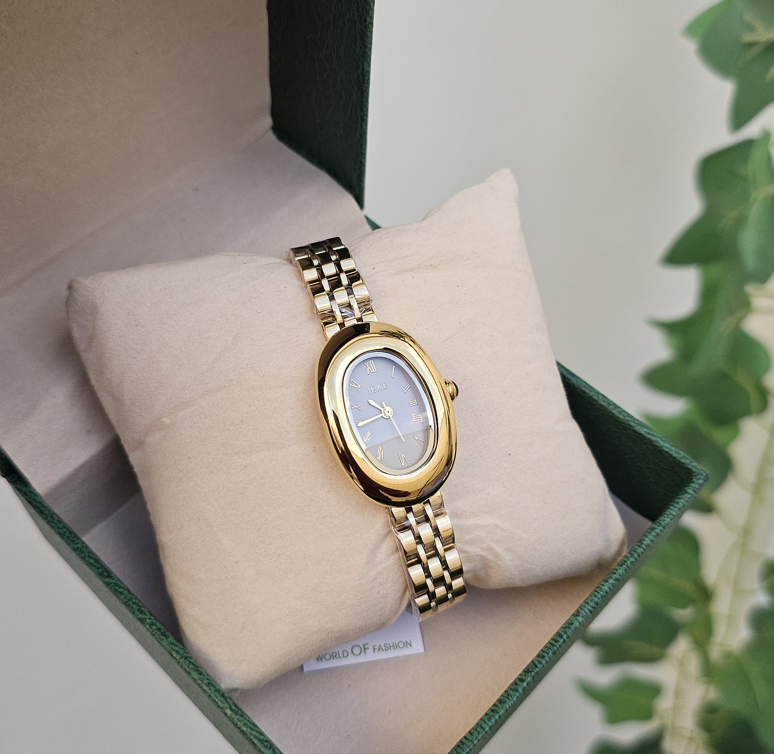 Ieke watch  image