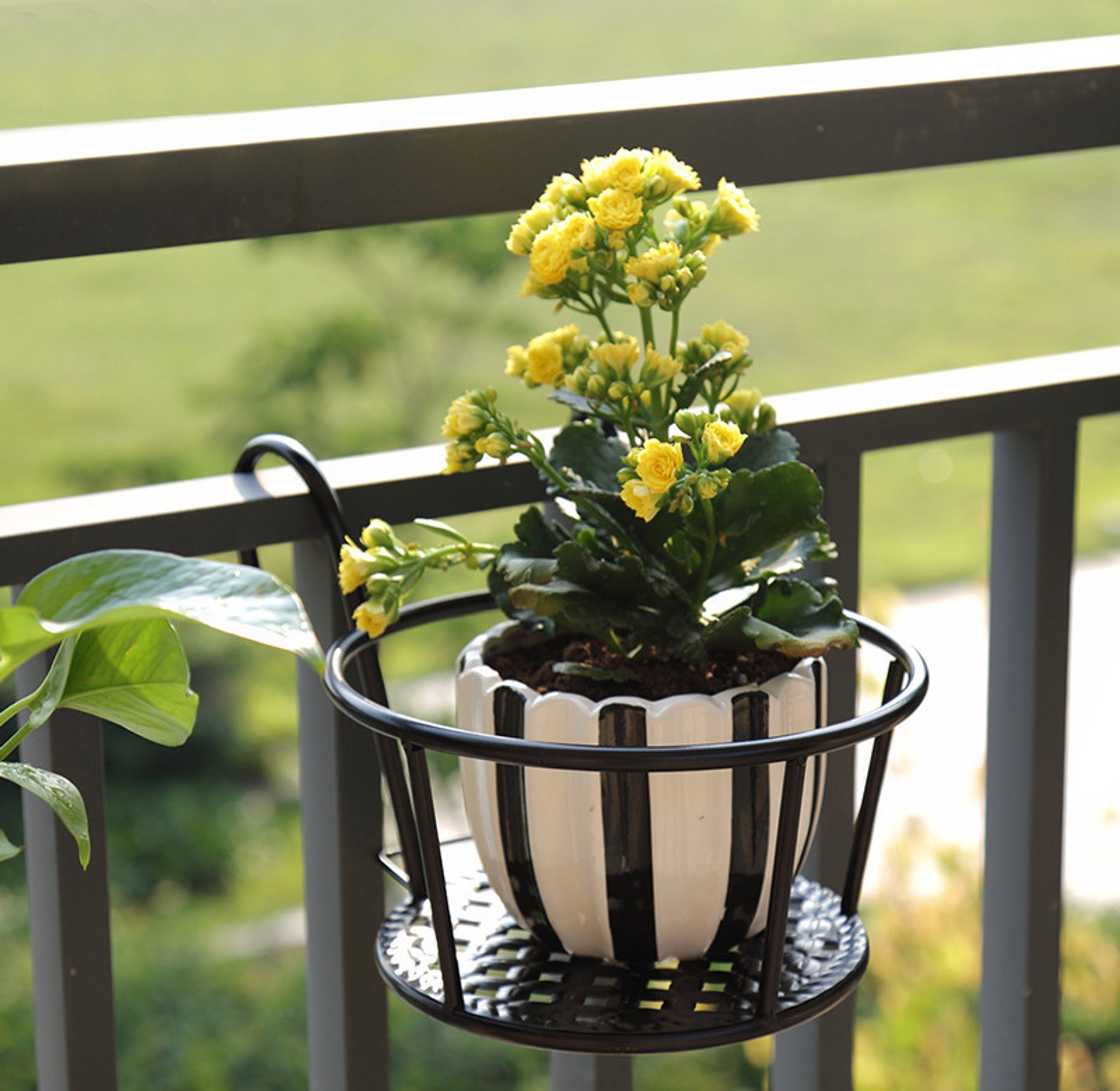Hanging Balcony Plant Holder & Railing Flower Pot Stand for Urban Gardening Nairobi Kenya – Rust-Proof Metal Black image