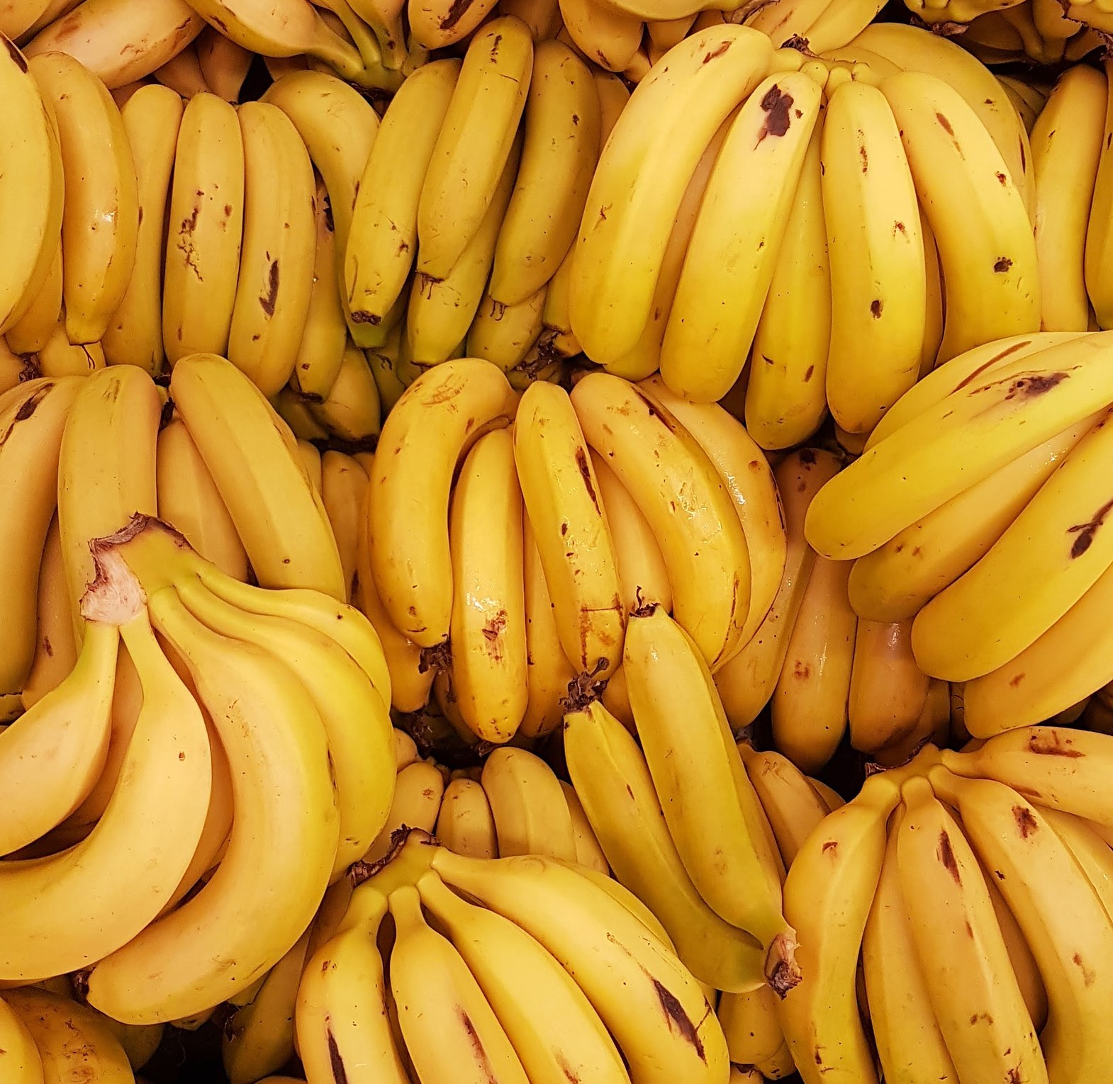 Bananas / Mandizi image