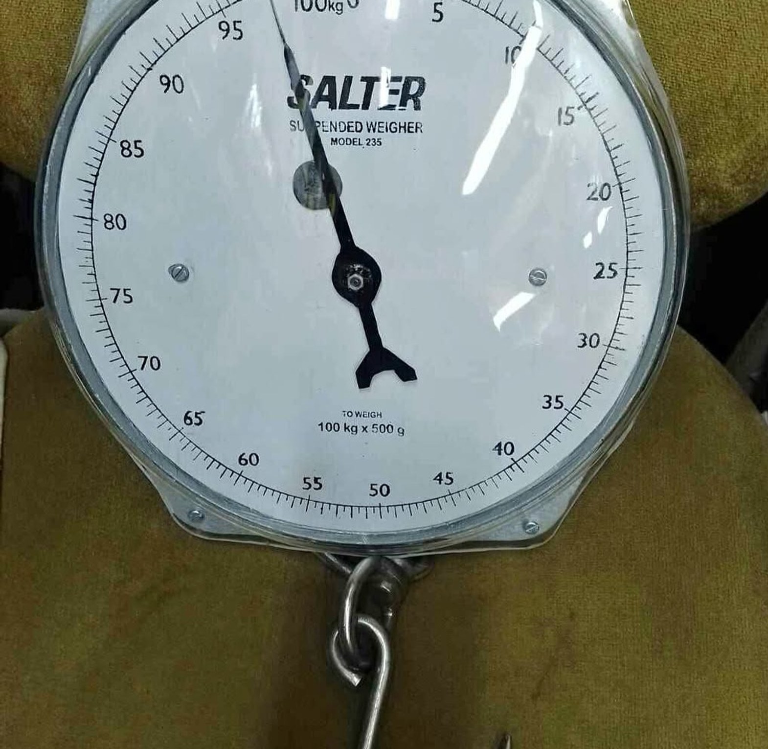 Original salter hanging scale image