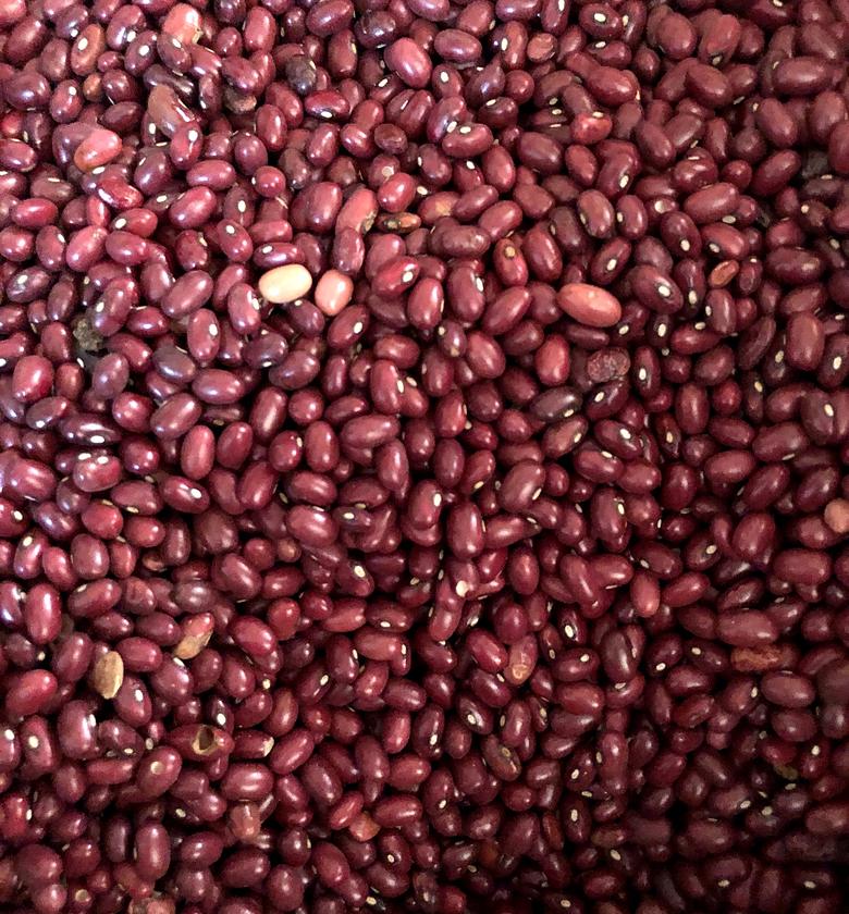 Wairimu / red haricot / kidney bean  - A kilogram  image