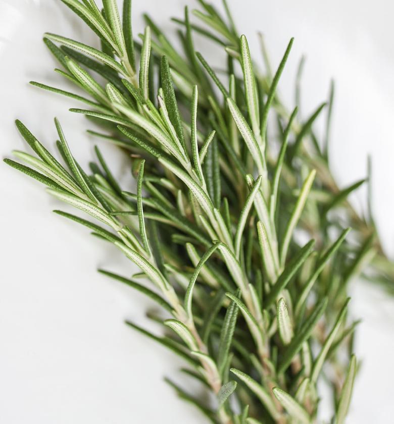 Rosemary - Per Bunch  image