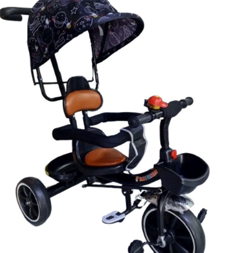 Children's Tricycle with Canopy and Push Handle For Age Between  18 months to 5 years image