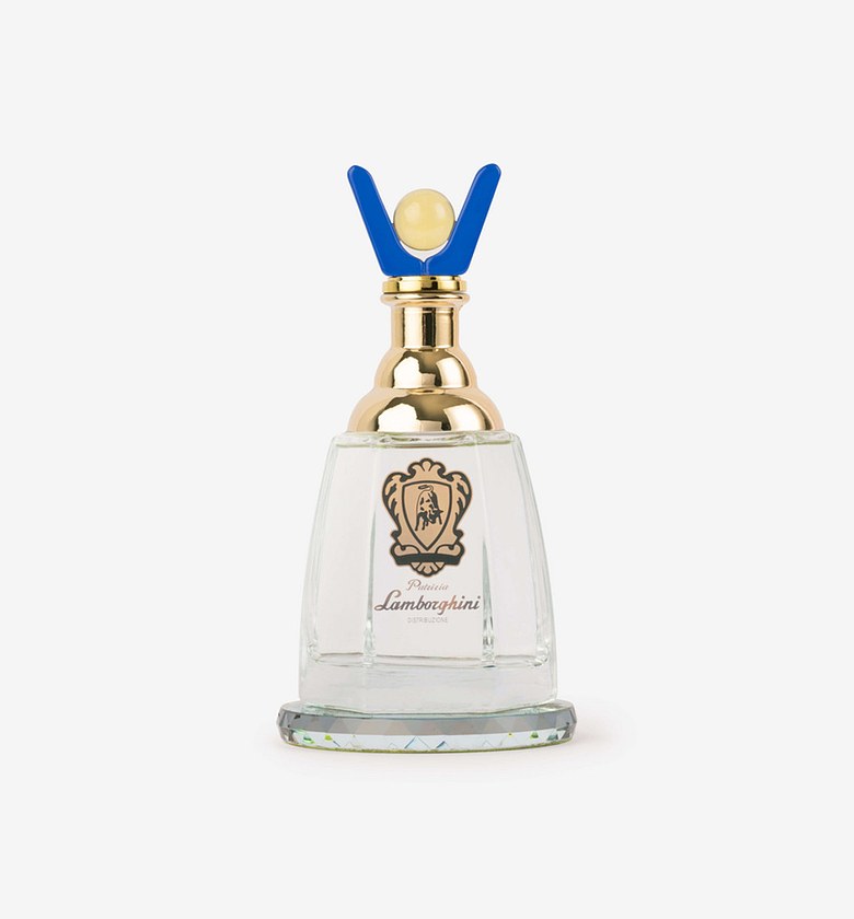 Tequilla silver lamborghini image