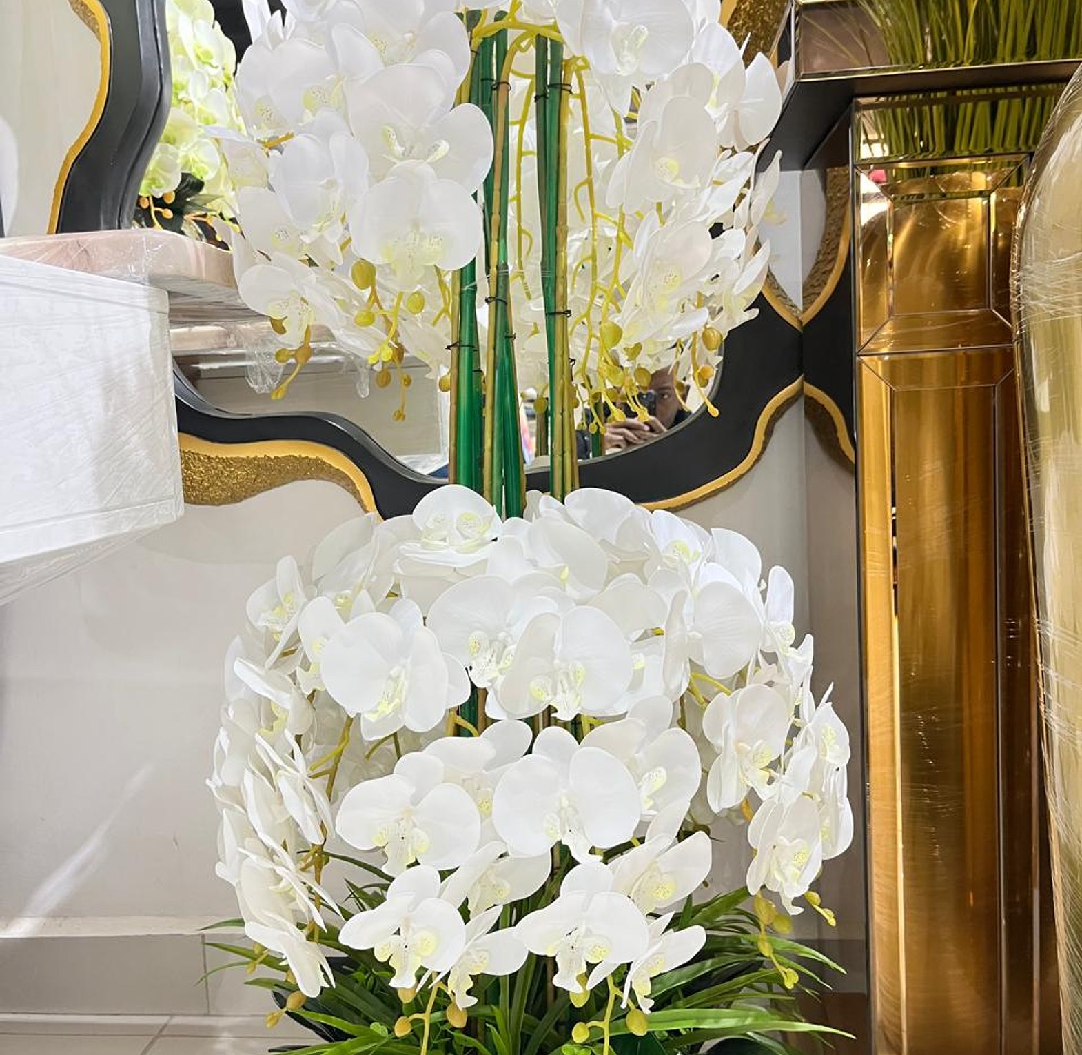 Standing Orchids image