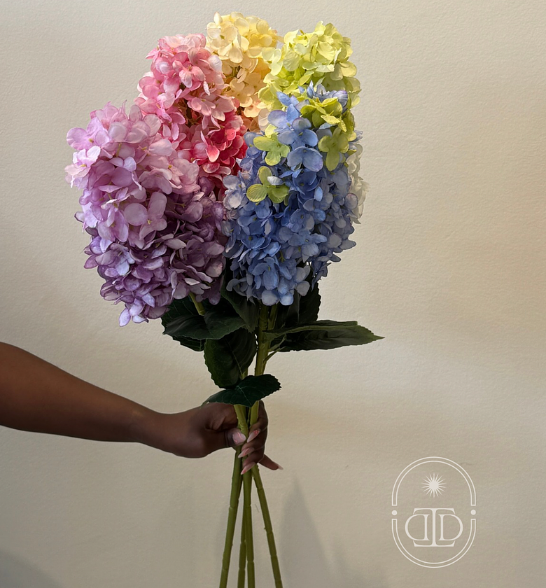 Conical hydrangeas. image
