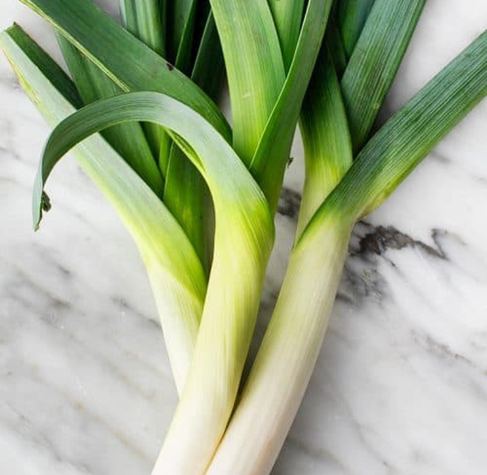 Fresh Leek – Per Branch image