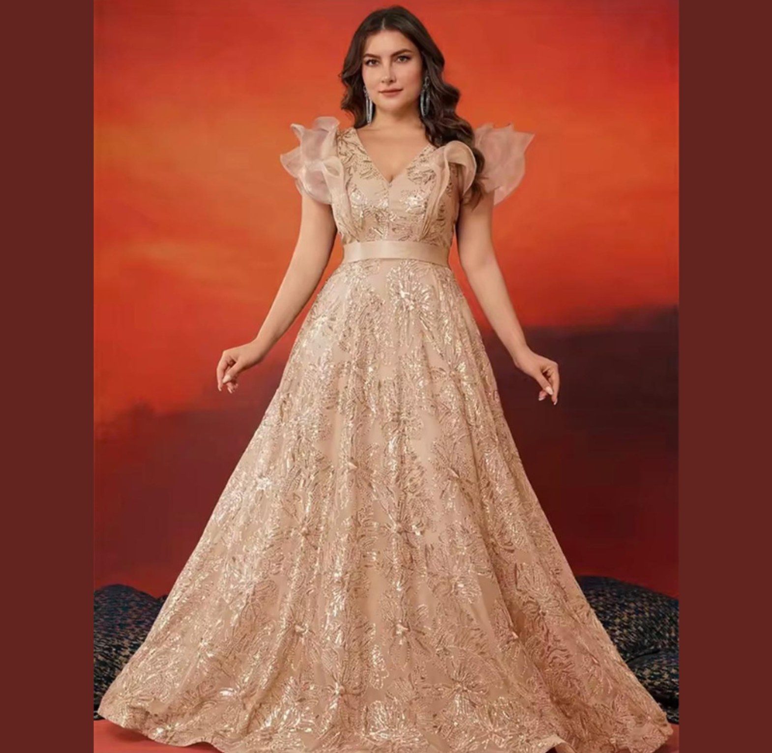 Fairy Wing Embroidered A-Line Gown image