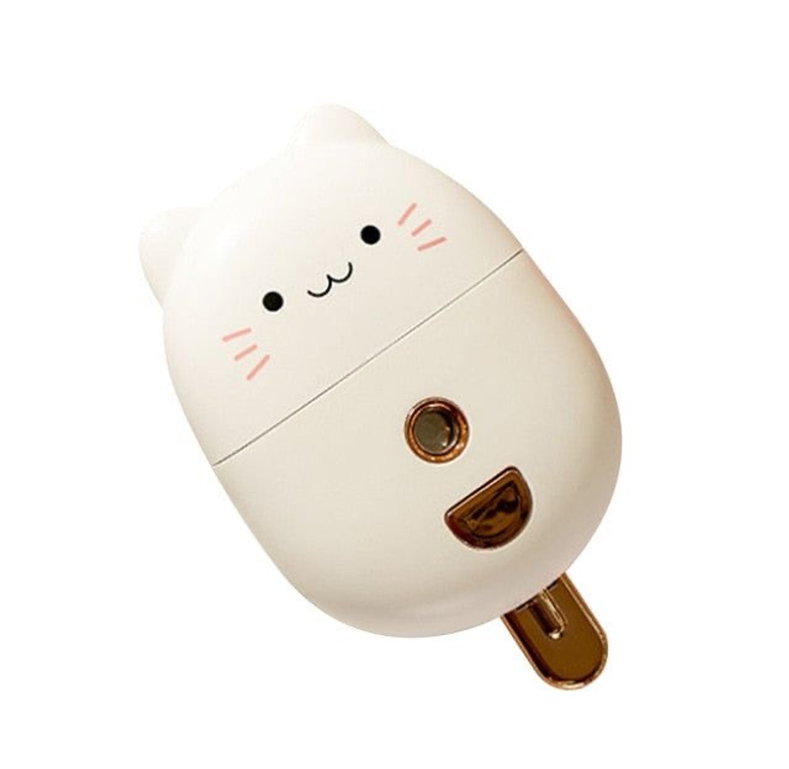 Facial steamer image