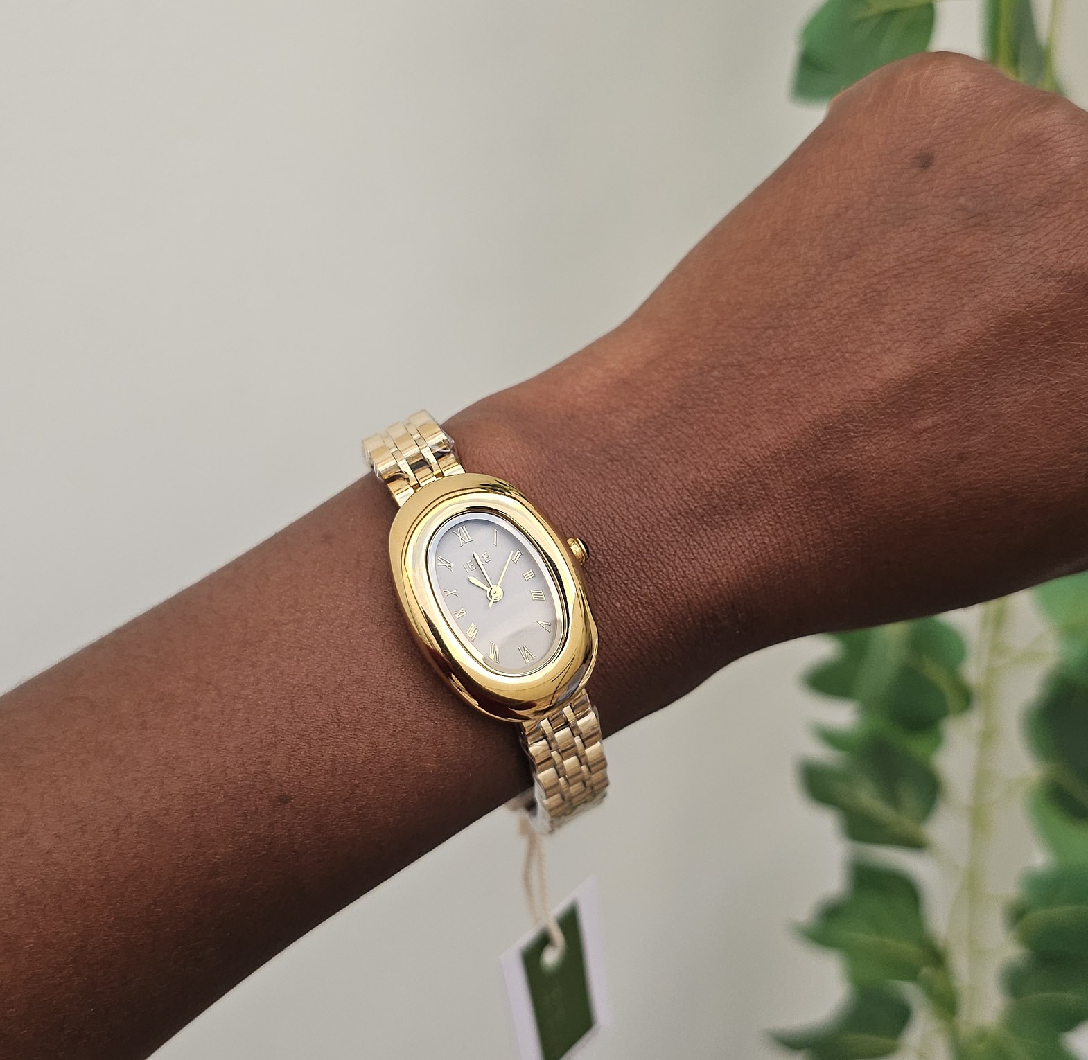 Ieke watch  image