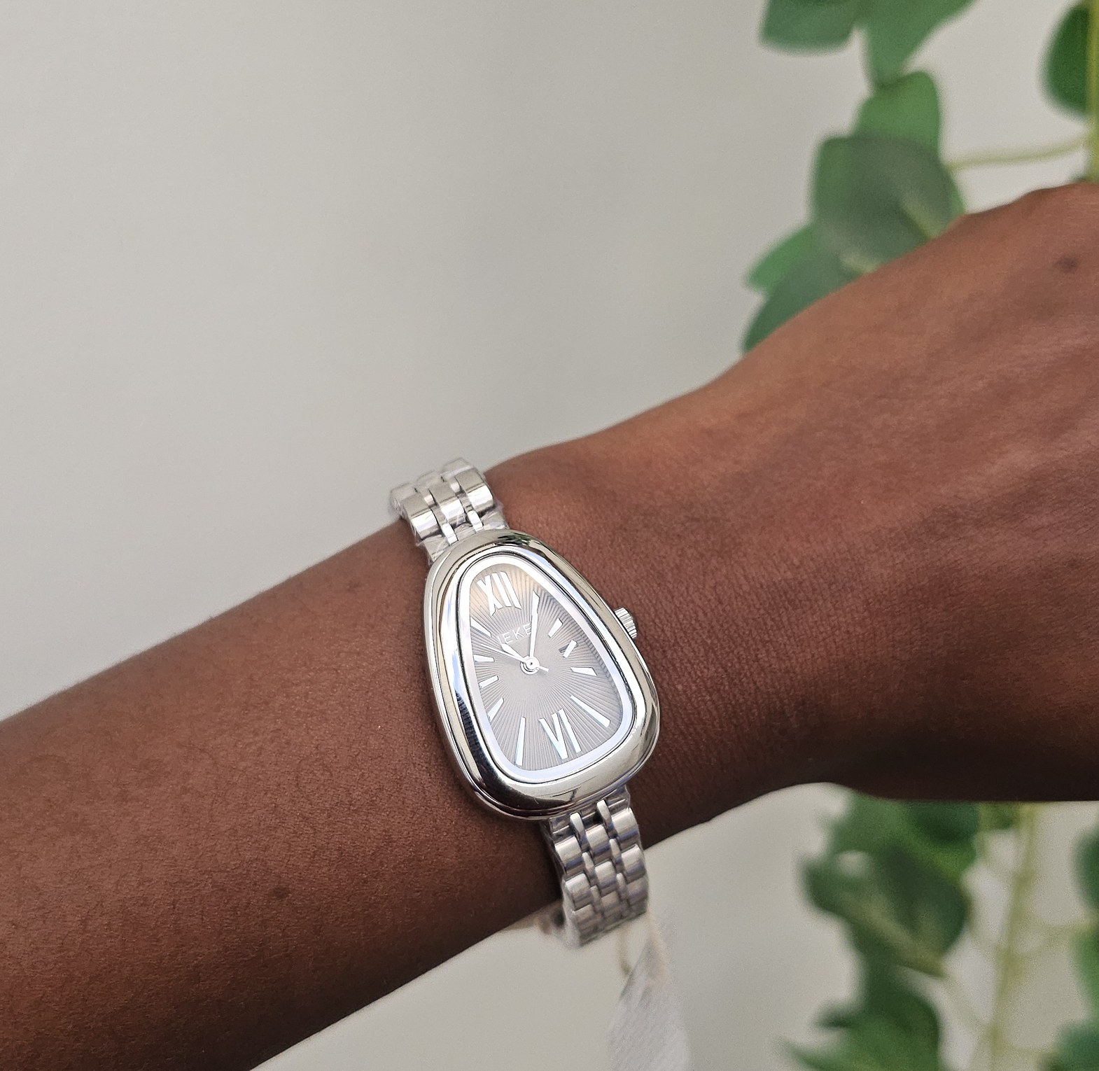Ieke classic watch  image
