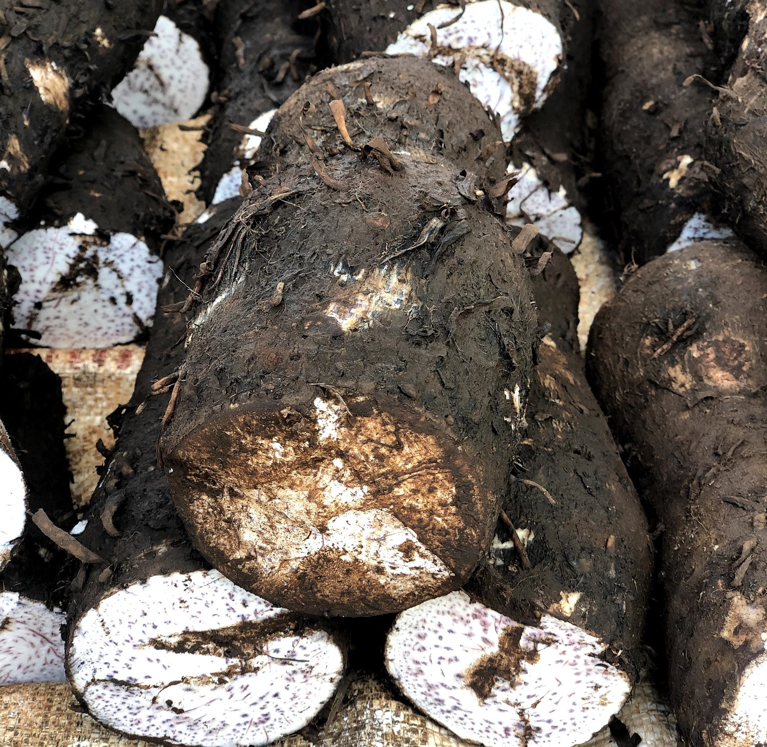 Arrow roots / Nduma - Per Kilogram  image