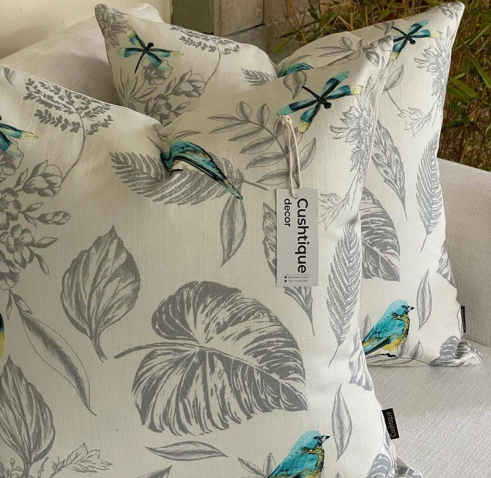 SONGBIRD . CUSHION image