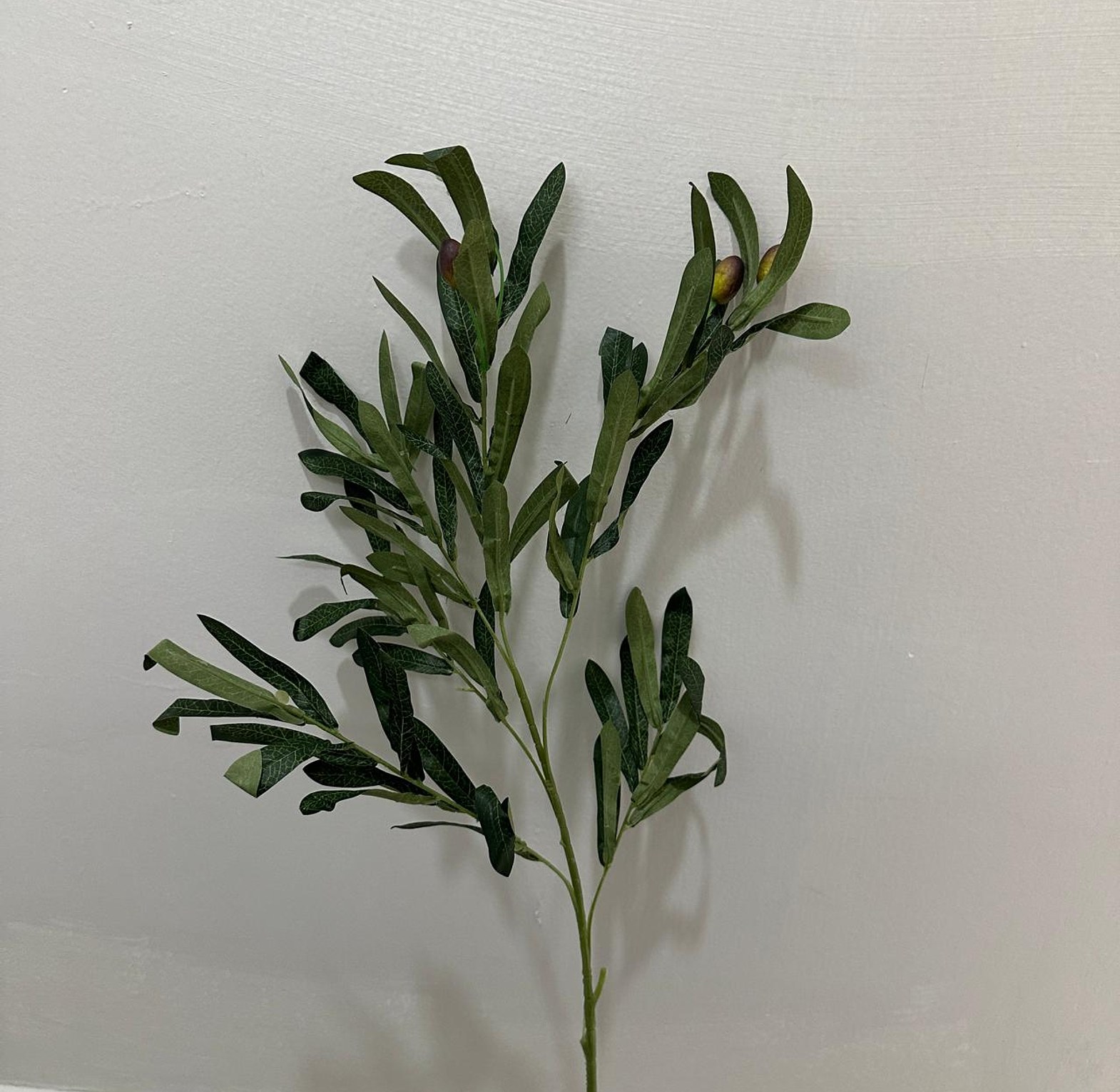 Faux olive branches  image