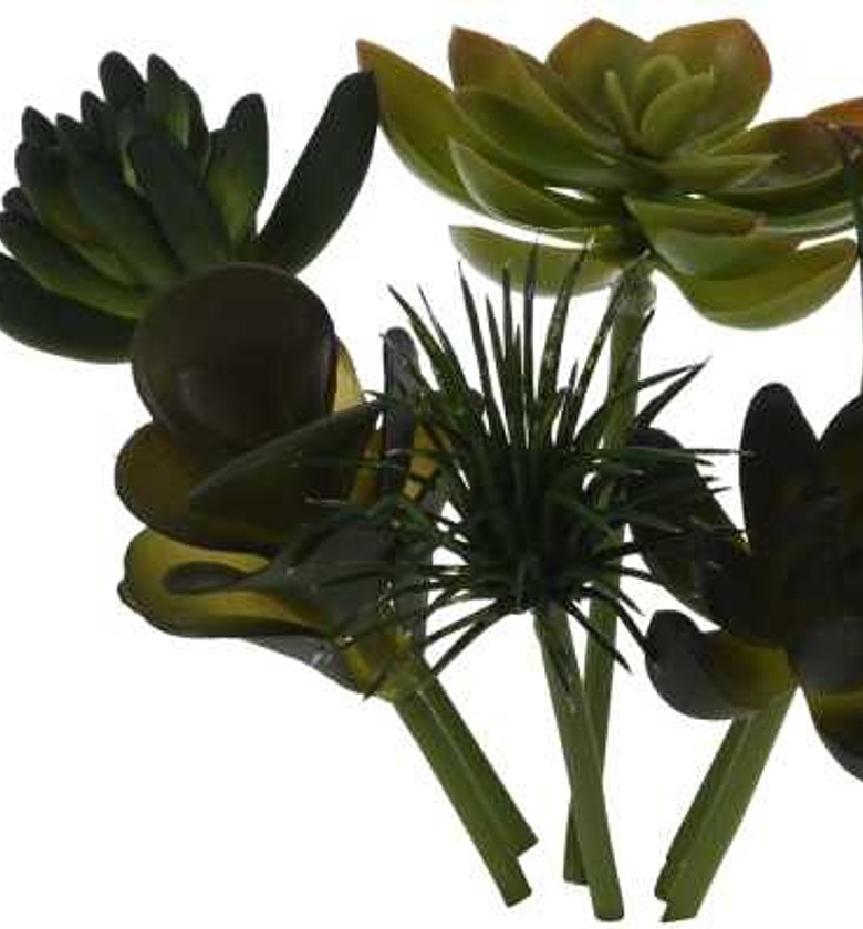 PLANT SET OF 4ASS DESIGNS image