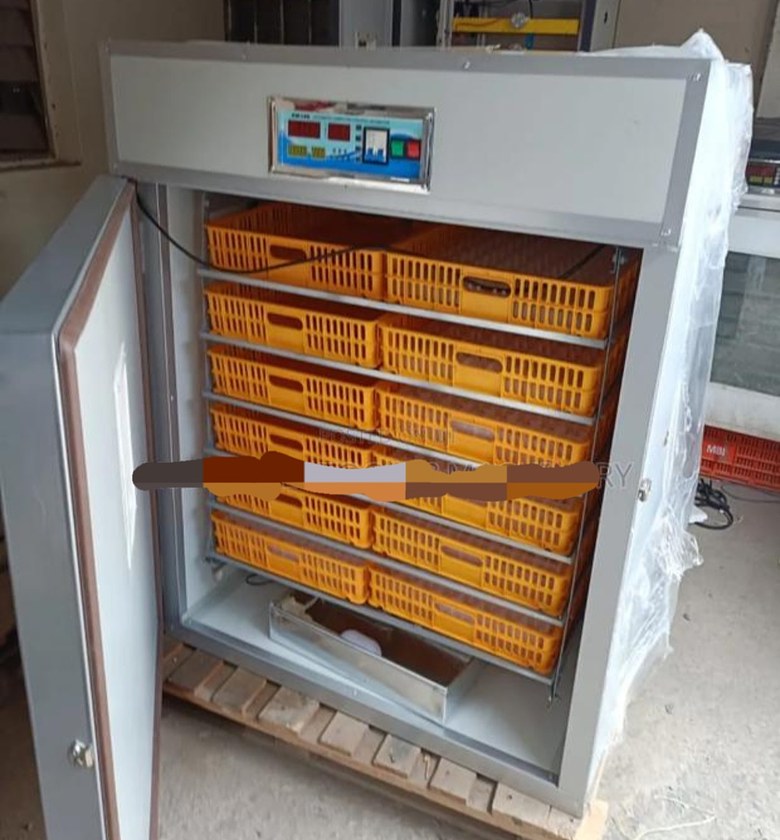 1056 eggs incubator image