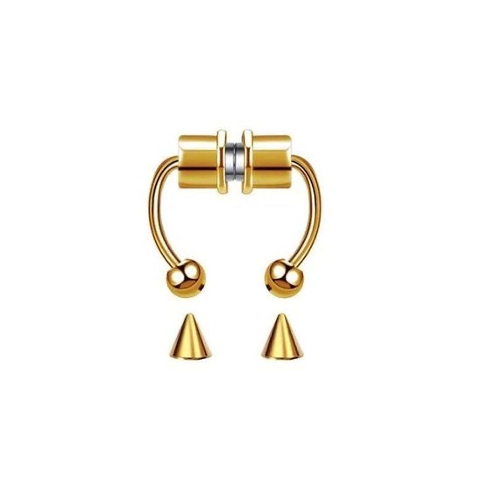 Magnetic septum  image