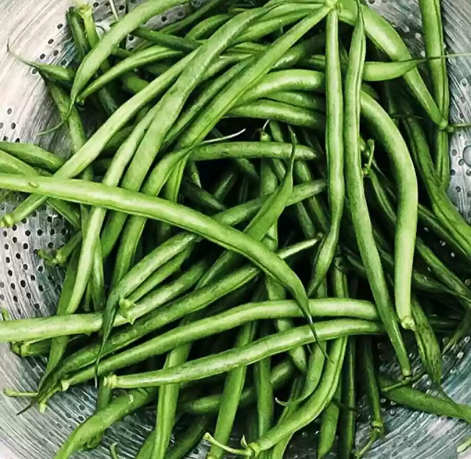 French Beans / Mishiri - 1Kg image