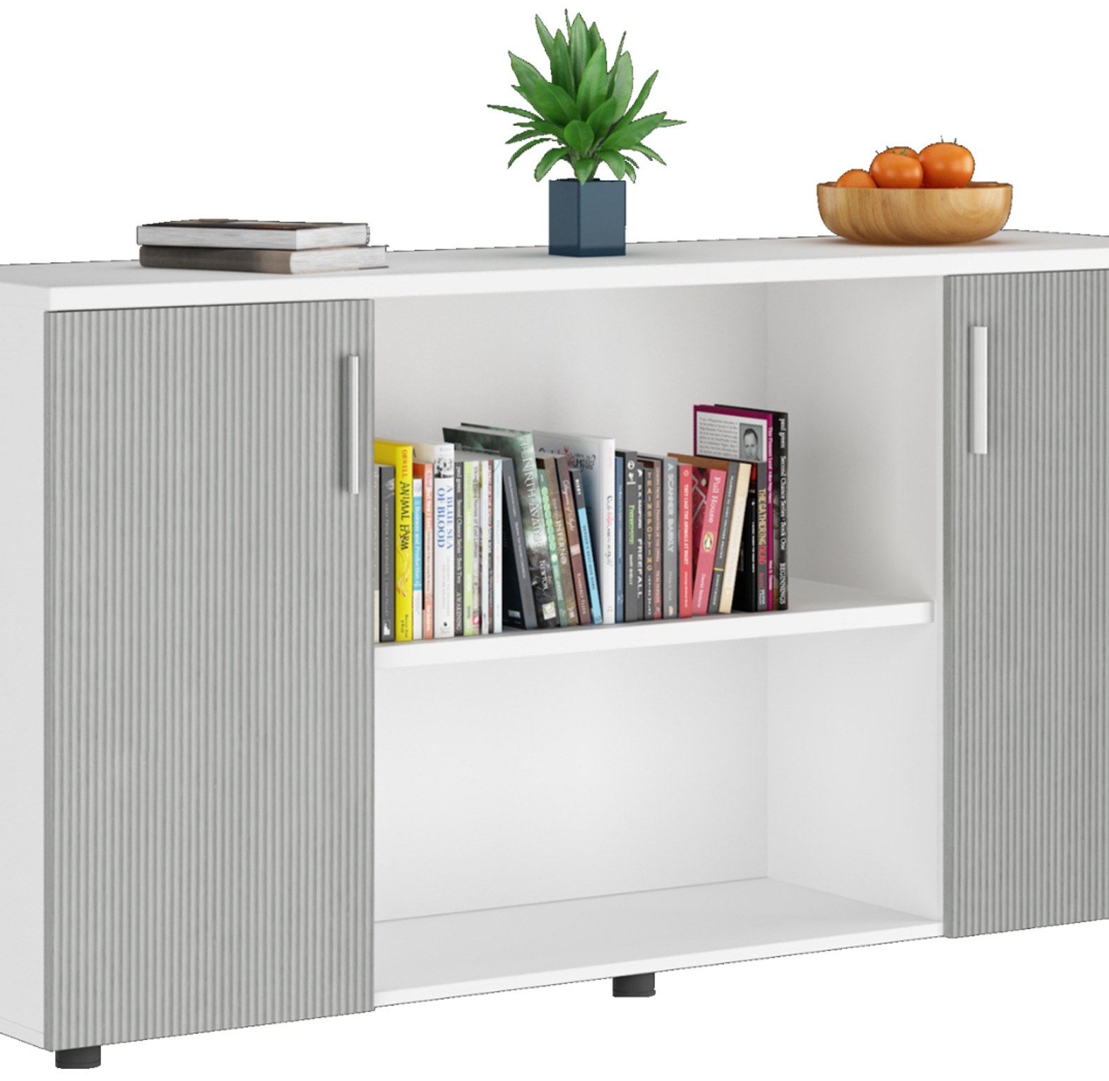 OFFICE CABINET (LOW/2 DOO image