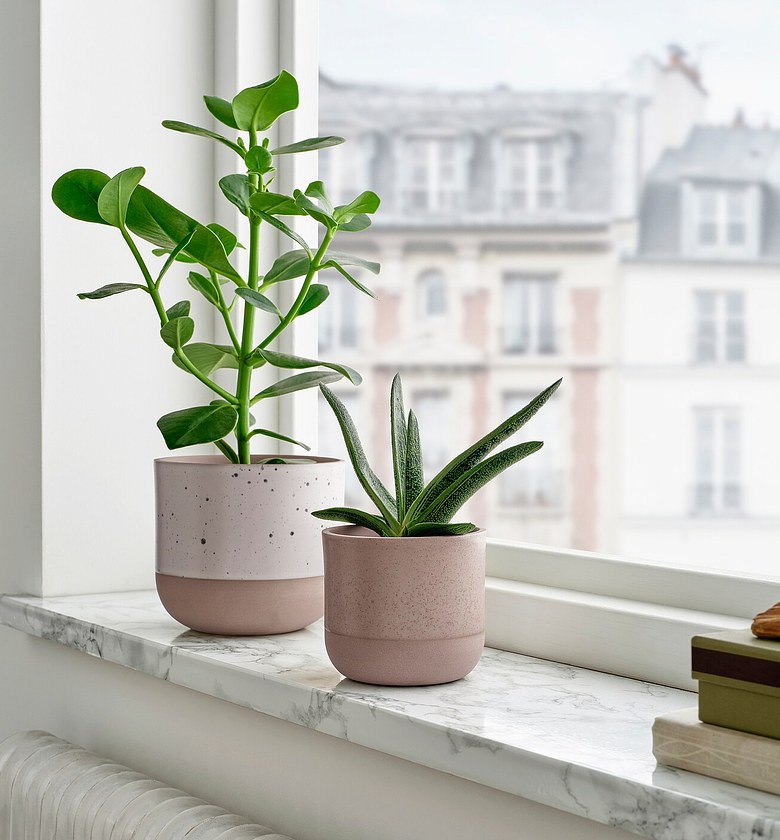 Vases/Planters