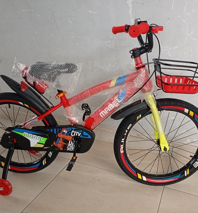 20-Inch Kids Bicycle with Training Wheels, Front Basket & Chain Guard image