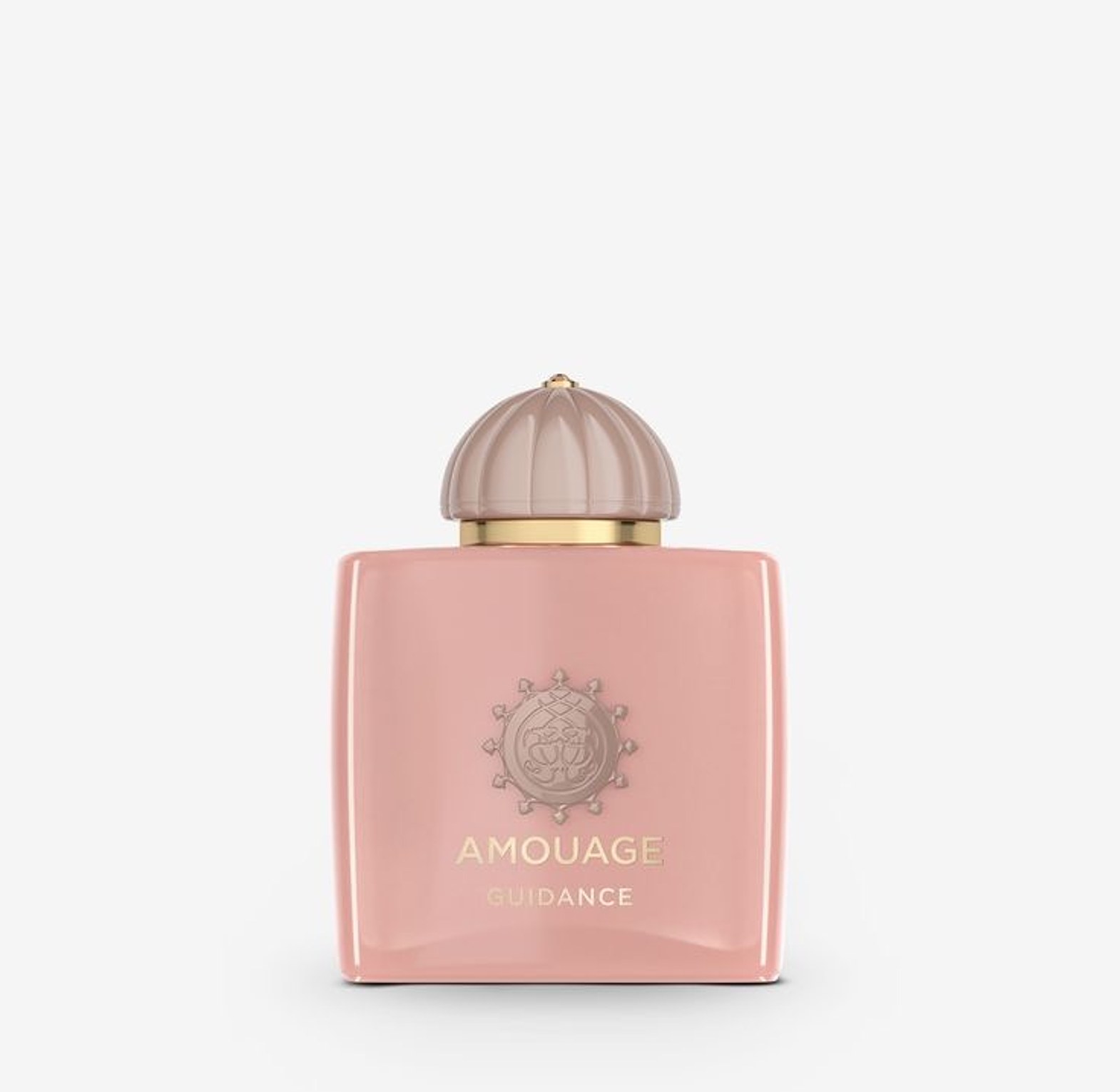 Amouage Guidance  image