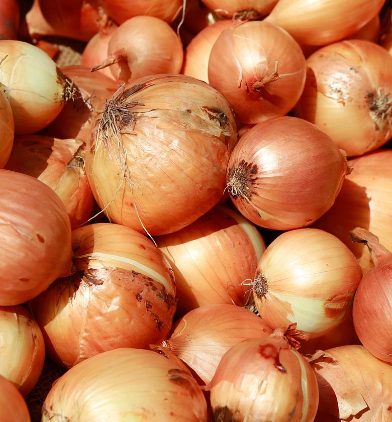 White Onion - Per Kilogram  image