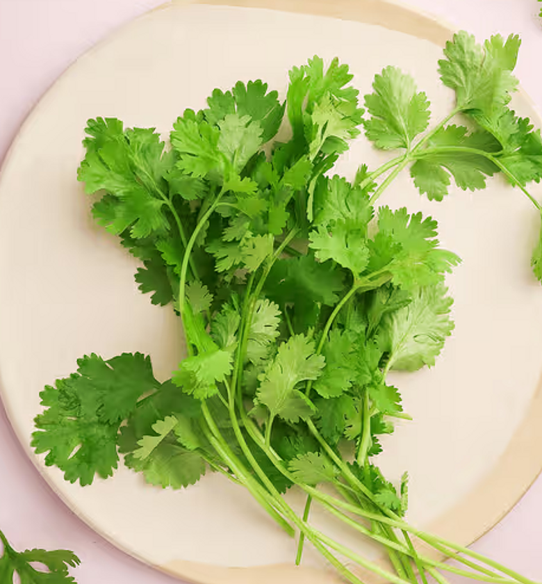 Coriander / Dhania  - Per Bunch image