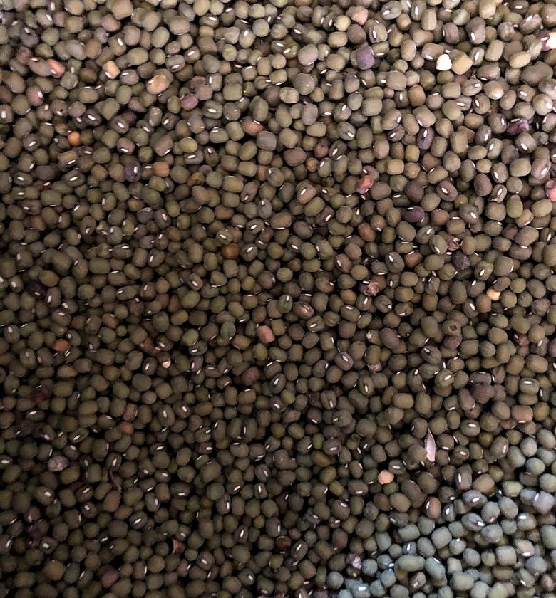 Ndengu / Green grams (Makueni) - A kilogram image
