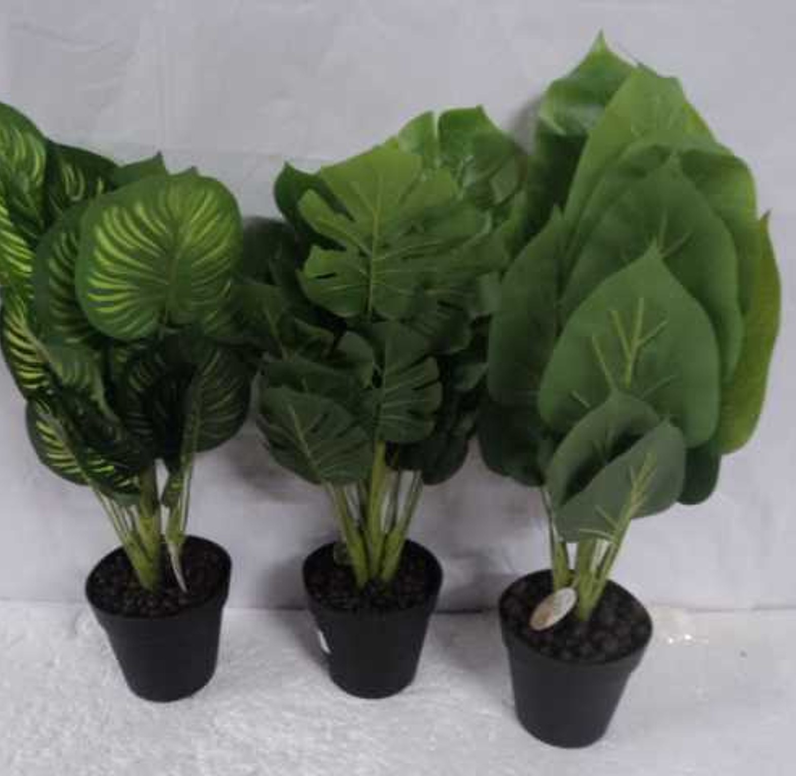 PLANT IN POT 45CM 3ASS #R image