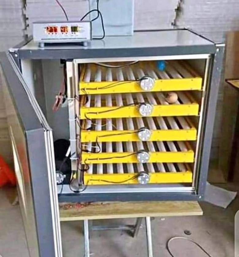 300 eggs incubator image