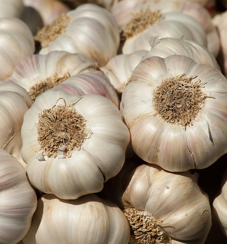 Garlic / Kitunguu saumu (imported) - Per Kilogram  image