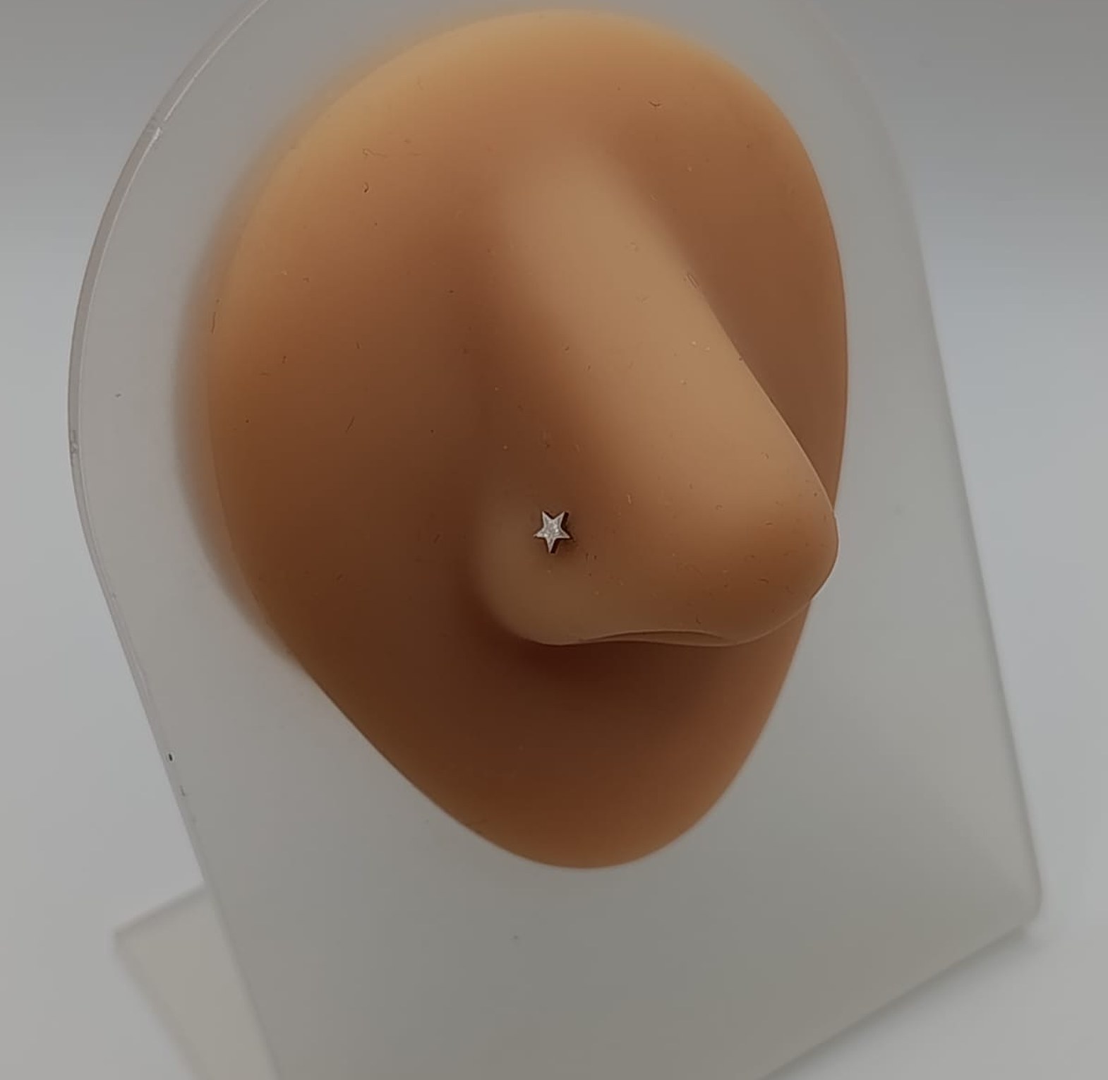 Nose Pins /Studs image