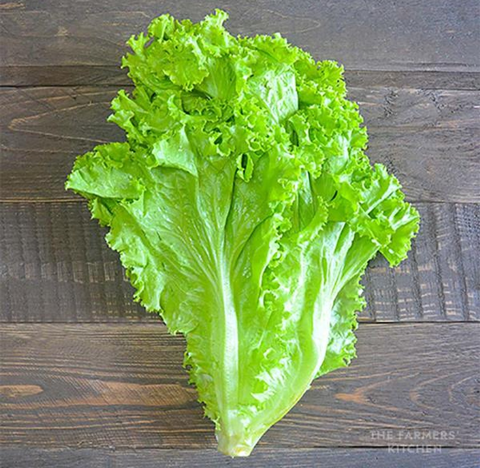 Fresh Green Lettuce – 1kg image