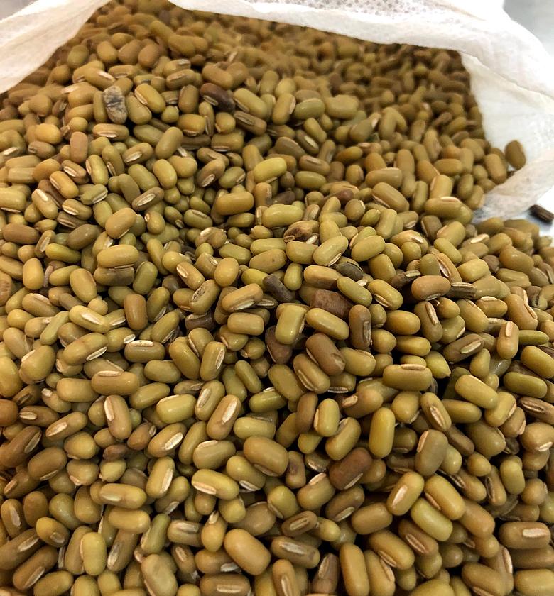 Western/mung beans -A kilogram image